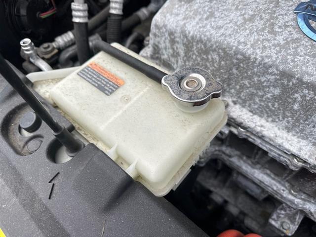 Radiator Overflow Bottle