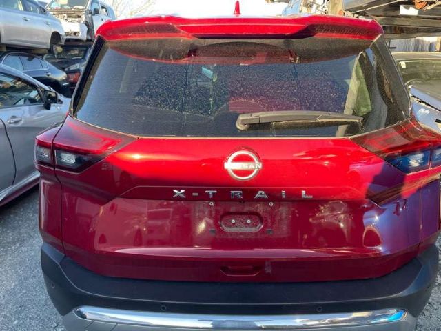 Tailgate Glass