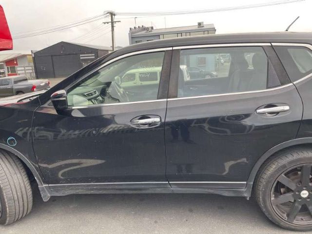 Lr Door Shell