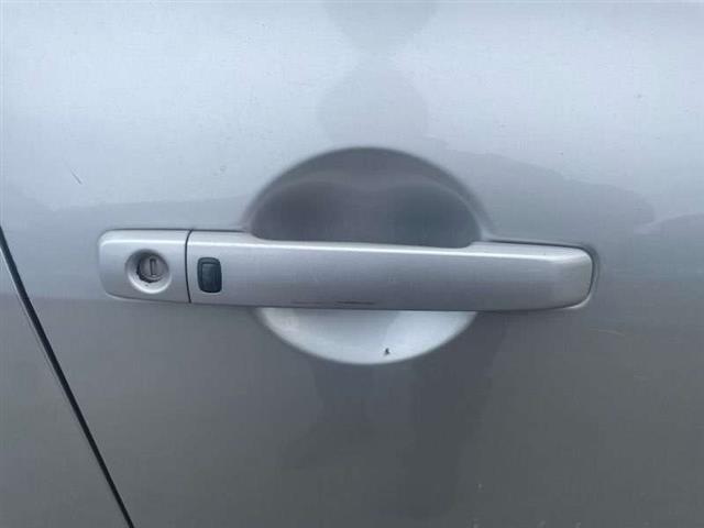 Rf Door Exterior Handle (smart Button) Type