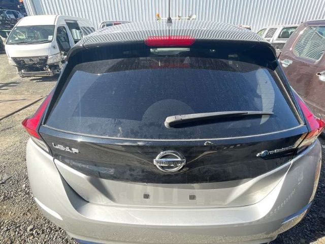 Rear Bumper Moulding