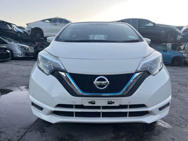 Nose Cut (spec 1)