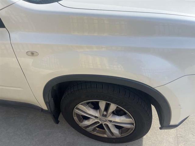 Rf Guard/fender