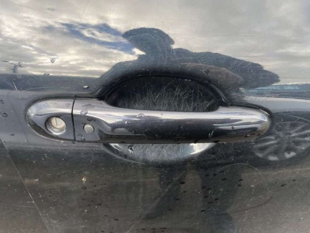 Rf Door Exterior Handle (smart Button) Type