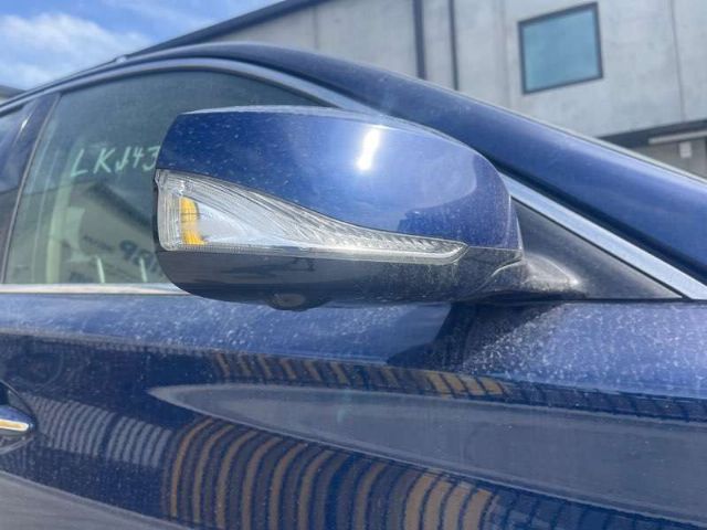 Rf Door Elec Mirror (18 Wire)