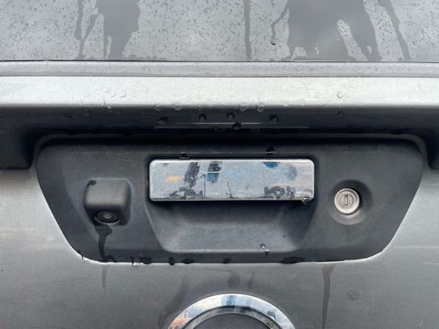 Tailgate Handle Outer