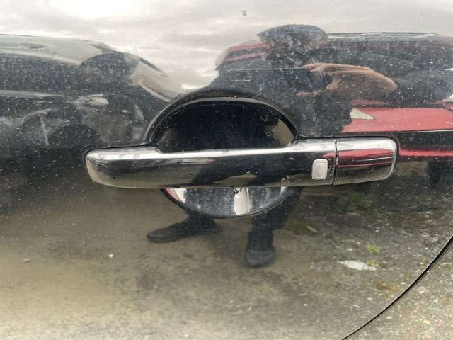 Lf Door Exterior Handle (smart Button) Type