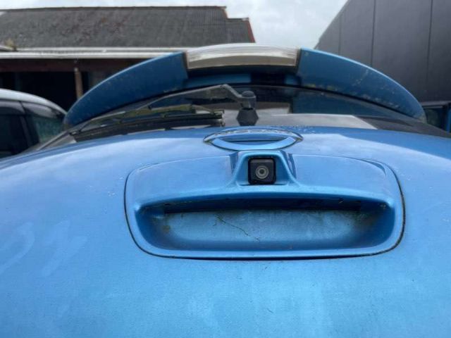 Tailgate Handle Outer