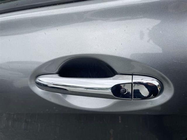 Lf Door Exterior Handle (smart Button) Type