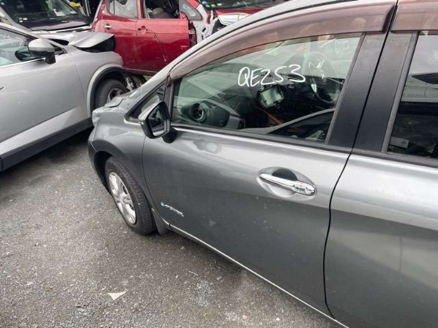 Lf Door Shell