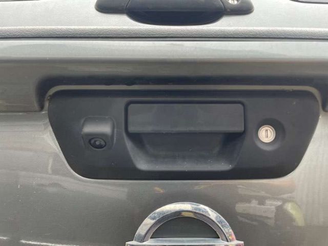 Tailgate Handle Outer