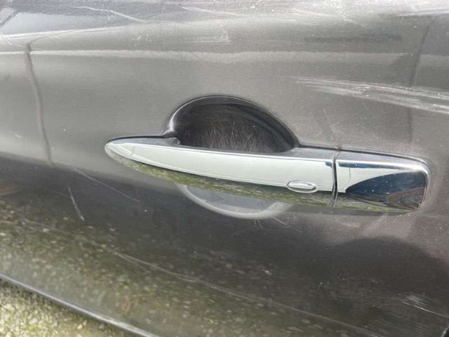 Lf Door Exterior Handle (smart Button) Type