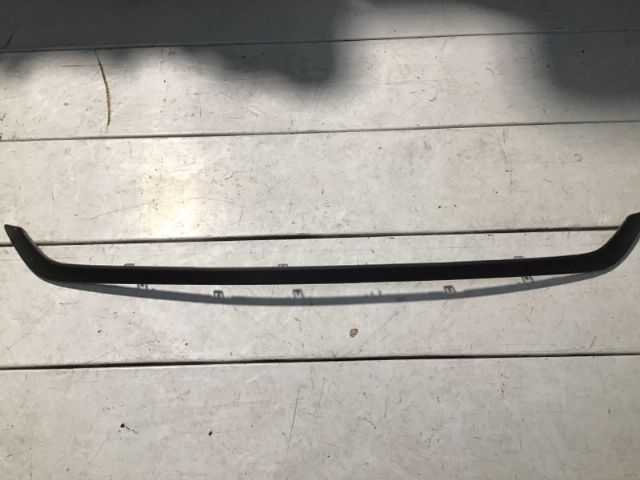 Rear Bumper Moulding