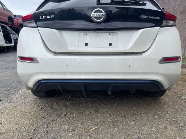 Rear Bumper Moulding
