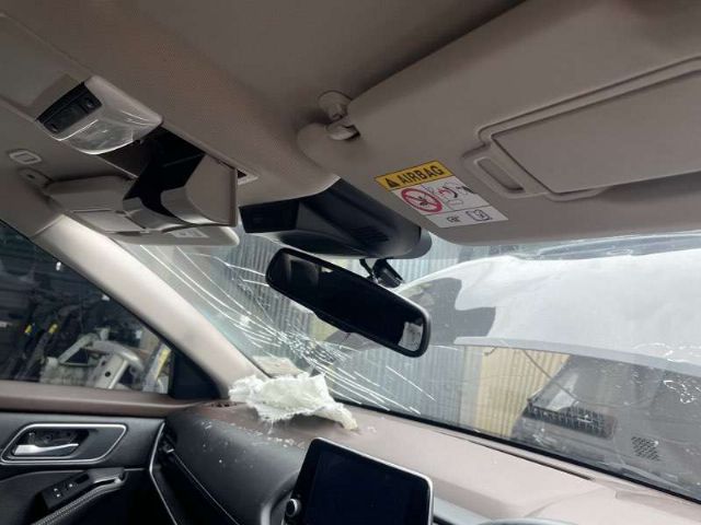 Lh Sunvisor