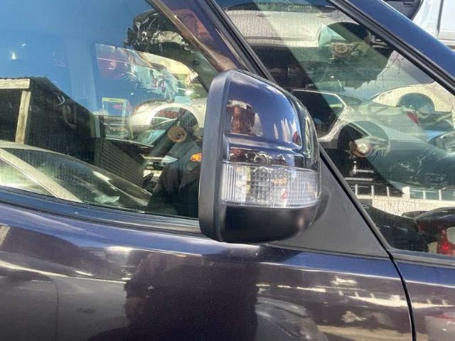 Rf Door Elec Mirror (9 Wire)