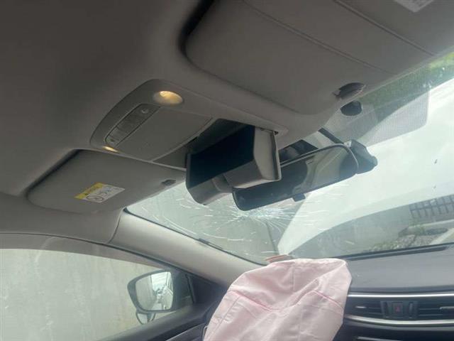 Lh Sunvisor