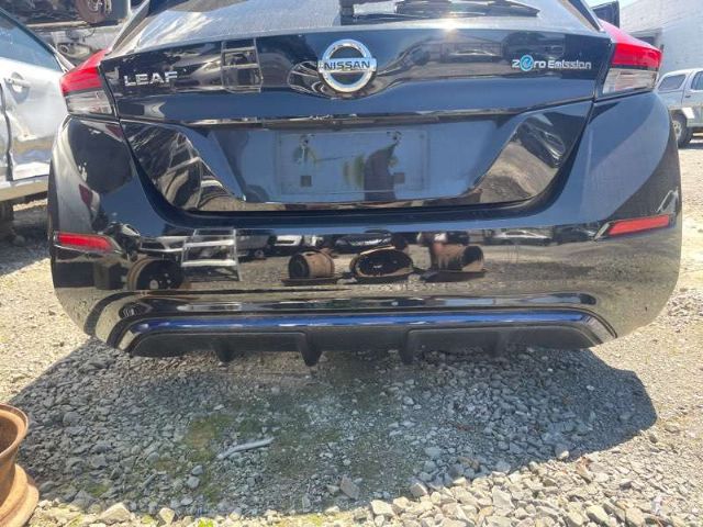 Rear Bumper Moulding