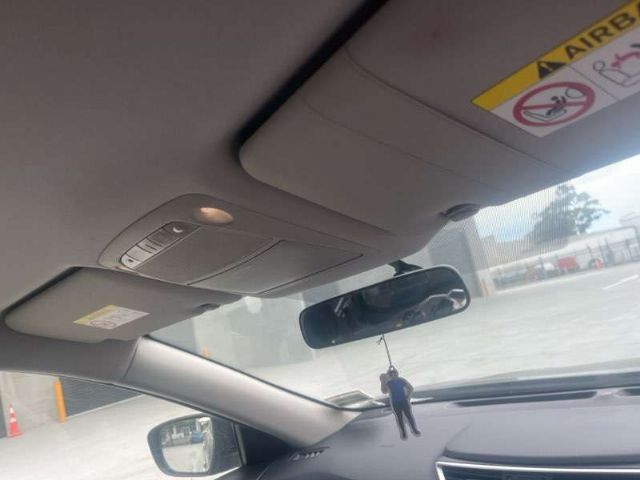 Lh Sunvisor