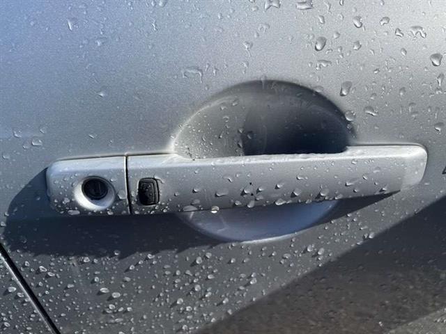 Rf Door Exterior Handle (smart Button) Type