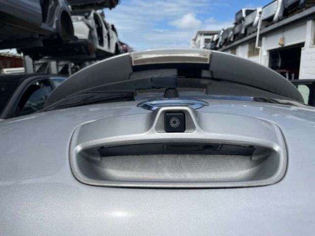 Tailgate Handle Outer