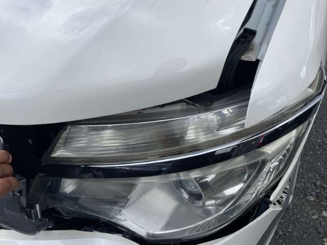 L Headlight Moulding