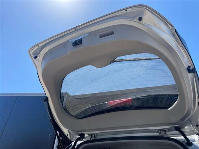 Tailgate Inner Trim