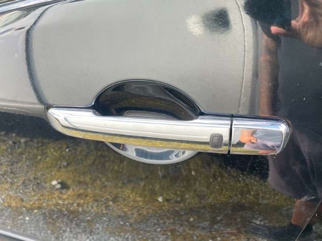 Lf Door Exterior Handle (smart Button) Type