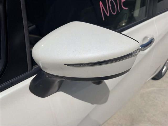 Lf Door Elec Mirror (12 Wire)