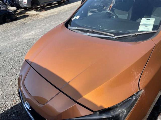 Bonnet