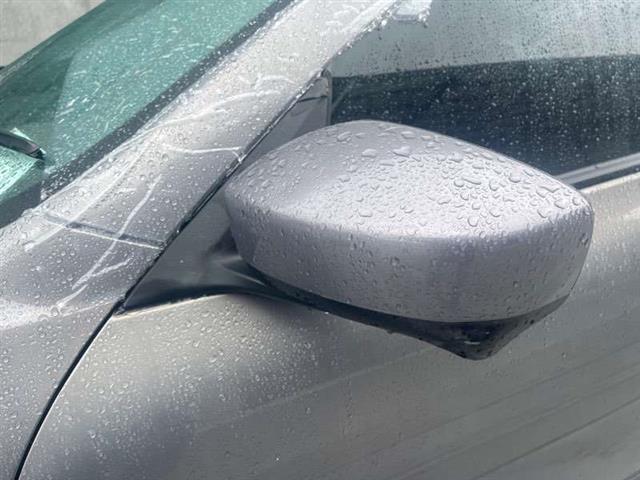 Lf Door Elec Mirror (17 Wire)