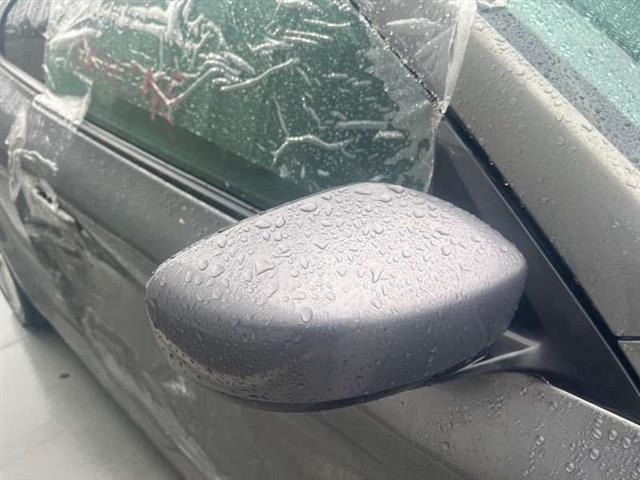 Rf Door Elec Mirror (11 Wire)