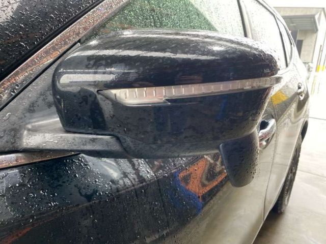 Lf Door Elec Mirror (9 Wire)