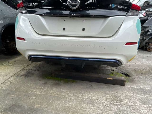 Rear Bumper Moulding