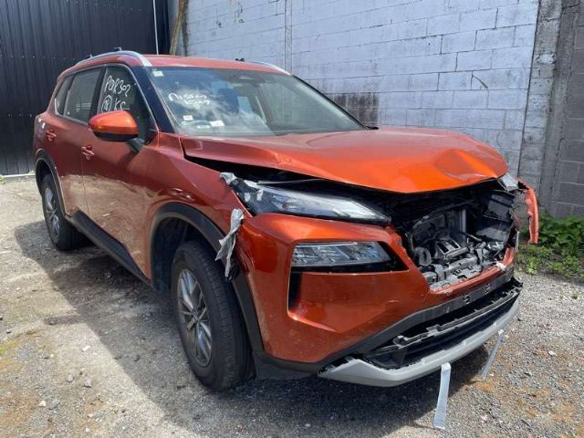 Front Bumper Moulding