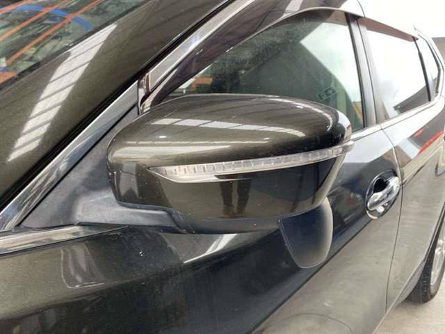 Lf Door Elec Mirror (9 Wire)