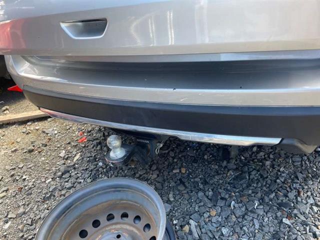 Rear Bumper Moulding