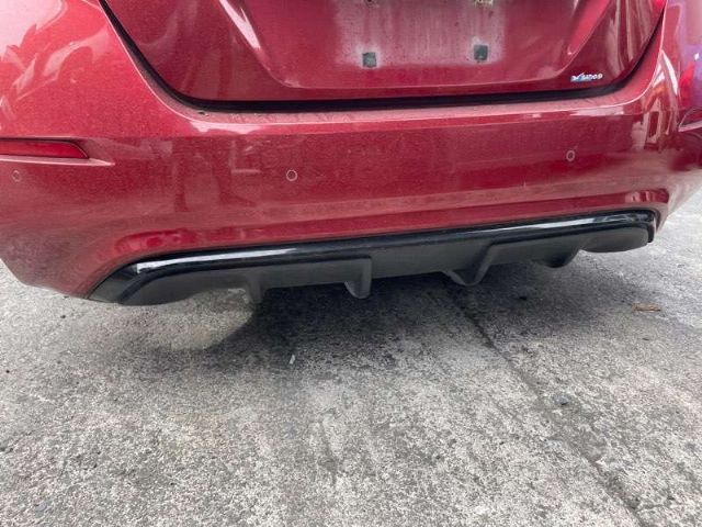 Rear Bumper Moulding