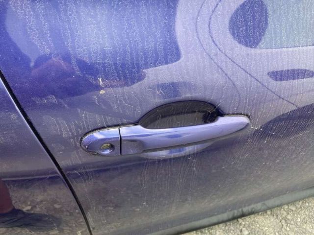 Rf Door Exterior Handle