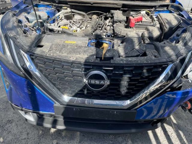 Grille (camera Type)
