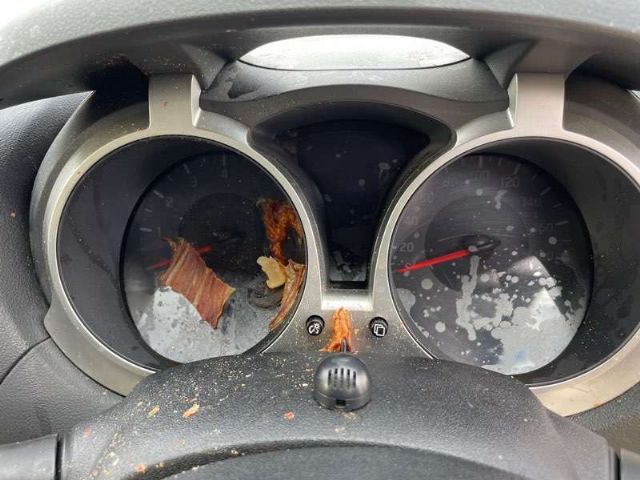 Instrument Cluster