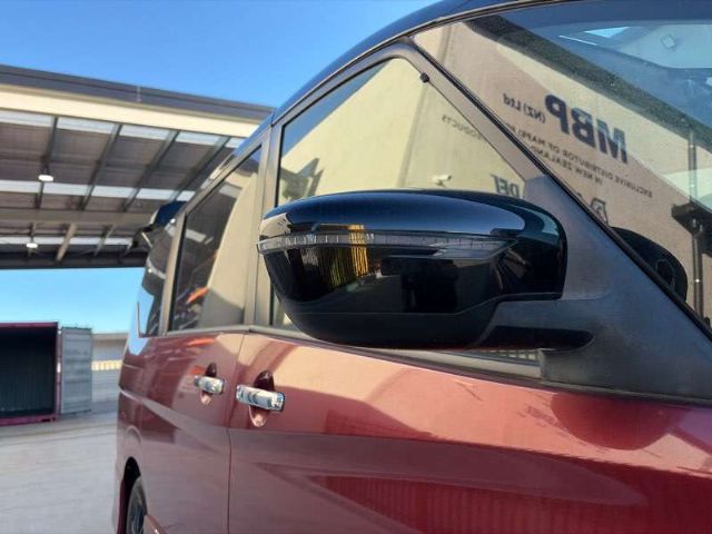 Rf Door Elec Mirror (9 Wire)