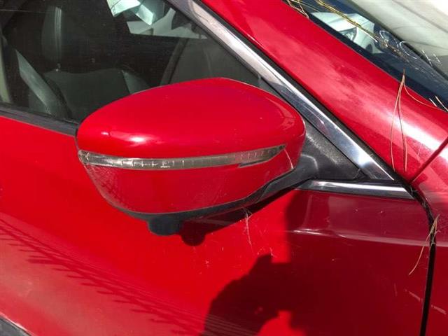 Rf Door Elec Mirror (13 Wire)