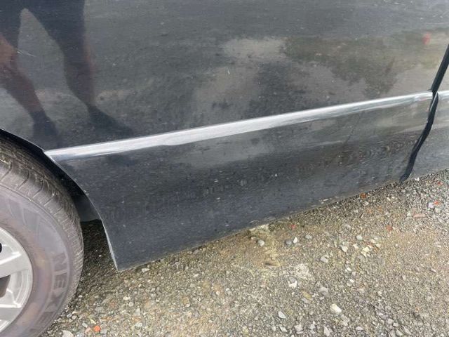 Rr Lower Door Moulding