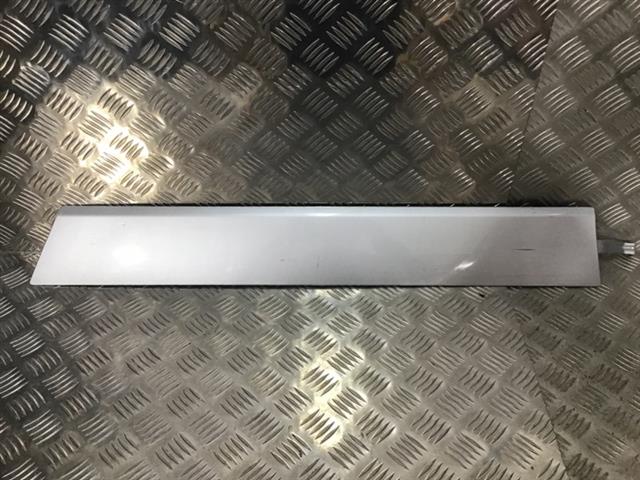 Lr Guard Moulding