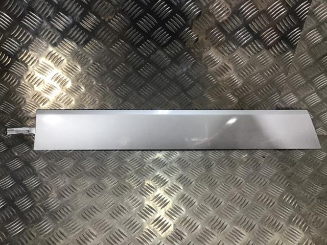 Rr Guard Moulding