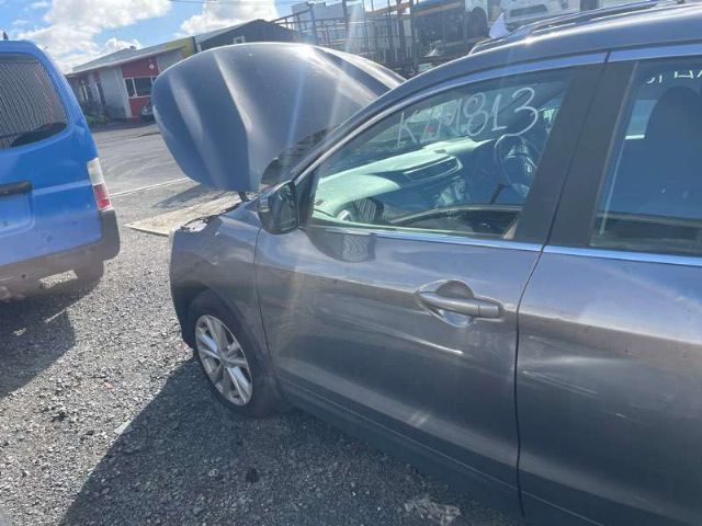 Lf Door Shell