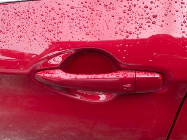 Lf Door Exterior Handle (smart Button) Type