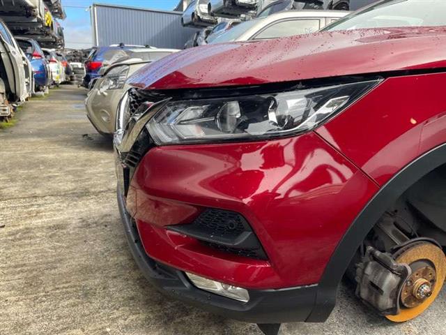 Nose Cut (spec 3)
