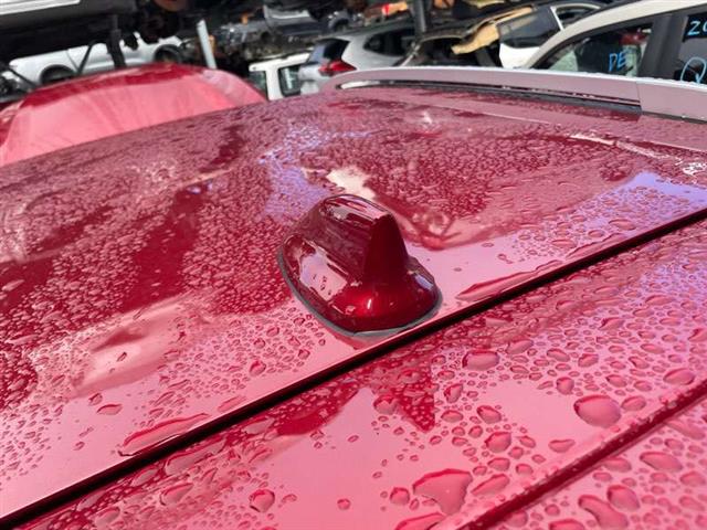 Shark Fin Antenna